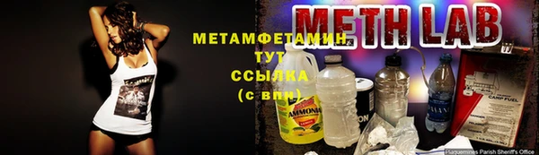 стаф Волосово