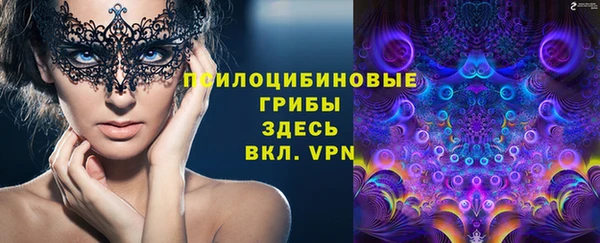 стаф Волосово