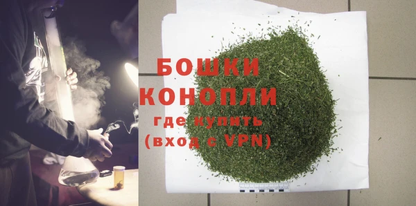 стаф Волосово
