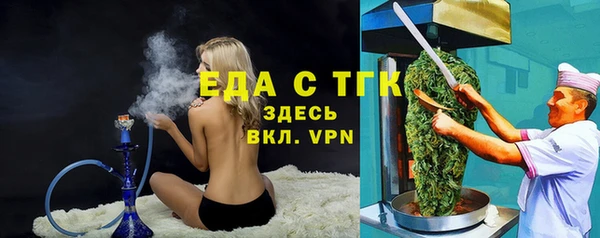 мдпв Волоколамск