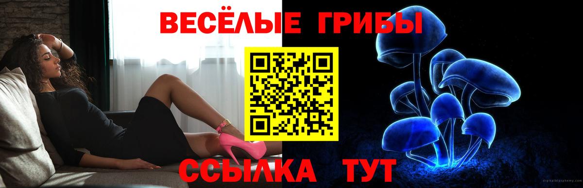 Галлюциногенные грибы Psilocybine cubensis Рубцовск